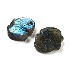 Natural Labradorite Carved Cabochons&nbsp;G-C152-11