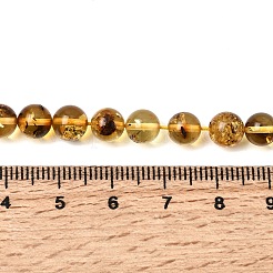 Natural Amber Beads Strands&nbsp;G-K376-H03-01