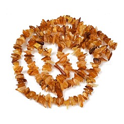 Natural Amber Beads Beads Strands&nbsp;G-Q060-C05