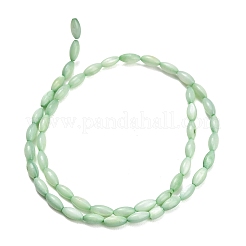 Natural Freshwater Shell Beads Strands&nbsp;SHEL-C010-01A