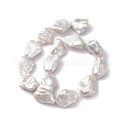 バロック天然ケシパールビーズ  ナゲット  貝殻色  23~25x19~20x8~10.5mm  穴：0.7mm&nbsp;PEAR-N020-S16
