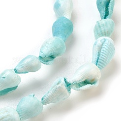 Spiral Shell Beads Strands&nbsp;BSHE-L037-09