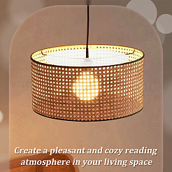 Flat Round PP Lamp Shade Diffuser&nbsp;FIND-WH0152-204