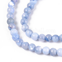 Dyed Natural Trochid Shell/Trochus Shell Beads Strands&nbsp;SSHEL-T017-13M