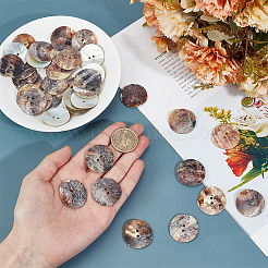 40Pcs 2-Hole Shell Buttons&nbsp;BUTT-GO0001-10