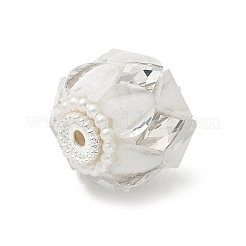 Transparent Acrylic Beads&nbsp;CLAY-NH0003-04S