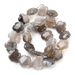 天然なグレーの瑪瑙ビーズ連売り  花  16x16x6mm  穴：1.4mm  約25個/連  14.57~14.96インチ（37~38cm）&nbsp;G-F769-I01-01