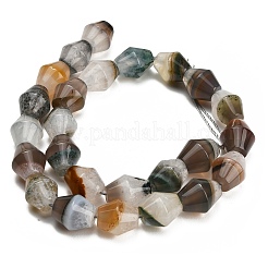 Natural Agate Beads Strands&nbsp;GG-L001-D02-02E
