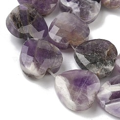 Natural Amethyst Beads Strands&nbsp;G-A309-A11-01