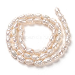 天然養殖淡水パールビーズ連売り  ライス  ビスク  6~8x4~5mm  穴：0.7mm  約52個/連  13.39インチ（34cm）&nbsp;PEAR-J005-60