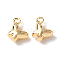 Brass Pendants&nbsp;KK-B063-21G