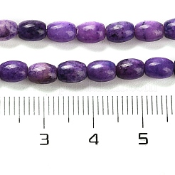 天然ドロマイトビーズ連売り  染め  ライス  青紫色  5.5~6x4.5mm  穴：1mm  約68~69個/連  15.94~16.22インチ（40.5~41.2cm）&nbsp;G-F765-A04-01