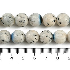 Natural Blue Ice Glacierite Stone Beads Strands&nbsp;G-H062-A04-04