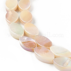 Natural Freshwater Shell Beads Strands&nbsp;SHEL-T009-22