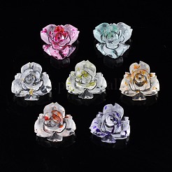 クリア樹脂カボション  ドライフラワーと  花  ミックスカラー  11x11x6mm&nbsp;CRES-S307-028