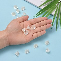 Multi-Petal Flower ABS Plastic Imitation Pearl Bead Caps&nbsp;X-OACR-R016-25