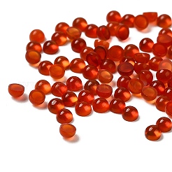 Natural Carnelian Dome/Half Round Cabochons&nbsp;G-G037-01B-04