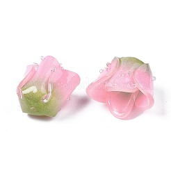 Plastic Beads&nbsp;LS-KY-N015-037F