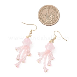 Glass Seed & Glass Beaded Dangle Earrings&nbsp;EJEW-MZ00687