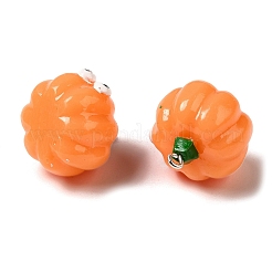 Autumn Cartoon Opaque Resin Vegetable Pendants&nbsp;CRES-B018-06