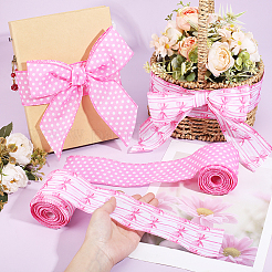 2Rolls 2 Styles Polyester Ribbons&nbsp;SRIB-ME0001-17