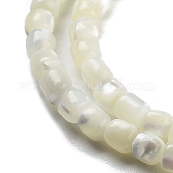 天然トロチッドシェル/トロカスシェルビーズ連売り  コラム  ホワイトスモーク  3.5x3~3.5mm  穴：0.5mm  約106個/連  15.16''（38.5センチメートル）&nbsp;BSHE-G038-01