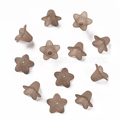 Transparent Acrylic Beads&nbsp;PLF018-14