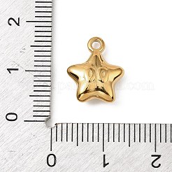 304 Stainless Steel Charms&nbsp;STAS-F327-03E-G
