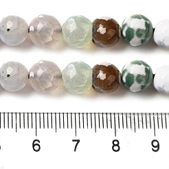 染色・加熱された天然ファイヤーアゲートビーズ連売り  多面カット  ラウンド  ミックスカラー  8mm  穴：1.2mm  約48個/連  36cm&nbsp;G-P539-B01-20