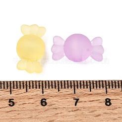 つや消し透明なアクリルビーズ  ミックスカラー  キャンディ  8.5x16.5x8.5mm  穴：2.2mm&nbsp;FACR-C001-01D