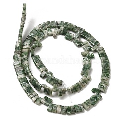 Natural Green Spot Jasper Beads Strands&nbsp;G-Z045-A02-01