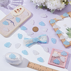50Pcs 2 Colors Transparent Resin Cabochons&nbsp;RESI-WR0001-15