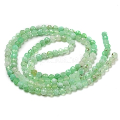 Natural Chrysoprase Beads Strands&nbsp;G-A097-A16-03