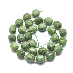 Natural Diopside Beads Strands&nbsp;G-K303-A10-12mm