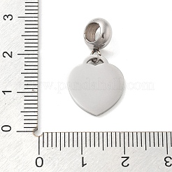 304 Stainless Steel European Dangle Charms&nbsp;OPDL-L013-38E