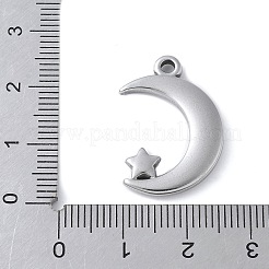 304 Stainless Steel Pendants&nbsp;STAS-E548-03P