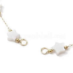 316 Stainless Steel Paperclip Chains&nbsp;AJEW-JB01251