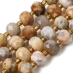 Natural Crazy Agate Beads Strands&nbsp;G-D105-B03