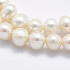 天然養殖淡水パールビーズ連売り  ポテト  ベージュ  7~8x6~7mm  穴：0.8mm  約61個/連  15.9インチ（40.5cm）&nbsp;PEAR-F007-56-01