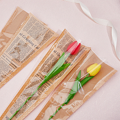 2 Bags 2 Styles Kraft Paper Gift Bags&nbsp;AJEW-FH0003-94
