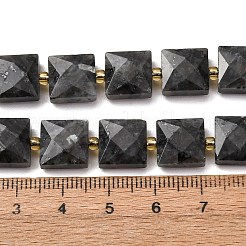 Natural Larvikite Beads Strands&nbsp;G-F839-A03-01