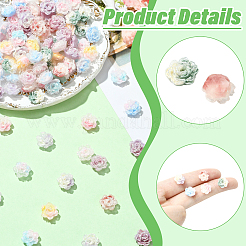 100Pcs 9 Colors Two Tone Plastic Flower Cabochons&nbsp;MRMJ-CJ0001-34