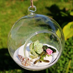 Transparent Wall Hanging Glass Ball Planter Terrarium Container Vase&nbsp;LS-DIY-L047-01