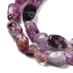 Natural Lepidolite/Purple Mica Stone Beads Strands&nbsp;G-S383-01