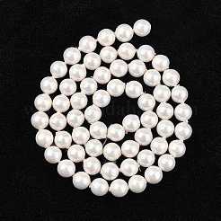 シェルビーズ連売り  模造パールビーズ  グレードA  ラウンド  ホワイト  6mm  穴：0.5mm  63~64個/連  15インチ&nbsp;X-BSHE-R146-6mm-02
