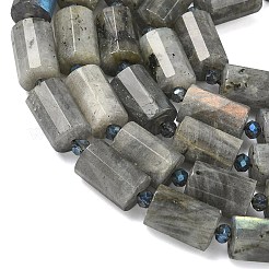 天然石ラブラドライトビーズ連売り  多面カット  コラム  シードビーズで  15~15.5x10mm  穴：0.8mm  約22個/連  15.75''~15.98''（40~40.6センチメートル）&nbsp;G-G453-E10-10x14mm