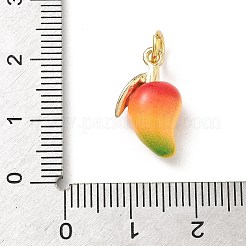 Brass Enamel Pendants&nbsp;KK-H523-01F-G01