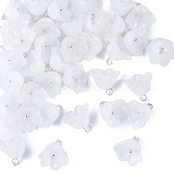 38Pcs Glass Charms&nbsp;GLAA-TADJ0001-19F