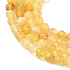 Natural Yellow Opal Beads Strands&nbsp;G-F509-07-3mm-02