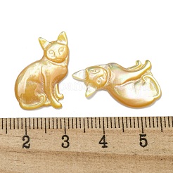 Natural Yellow Shell Cabochons&nbsp;SSHEL-N038-05B